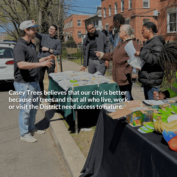 Help Green Buena Vista Terrace!