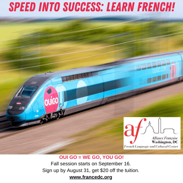 Our immersive classes propel you toward fluency
