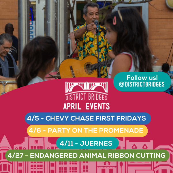 Spring Into Community Connection Through District Bridges