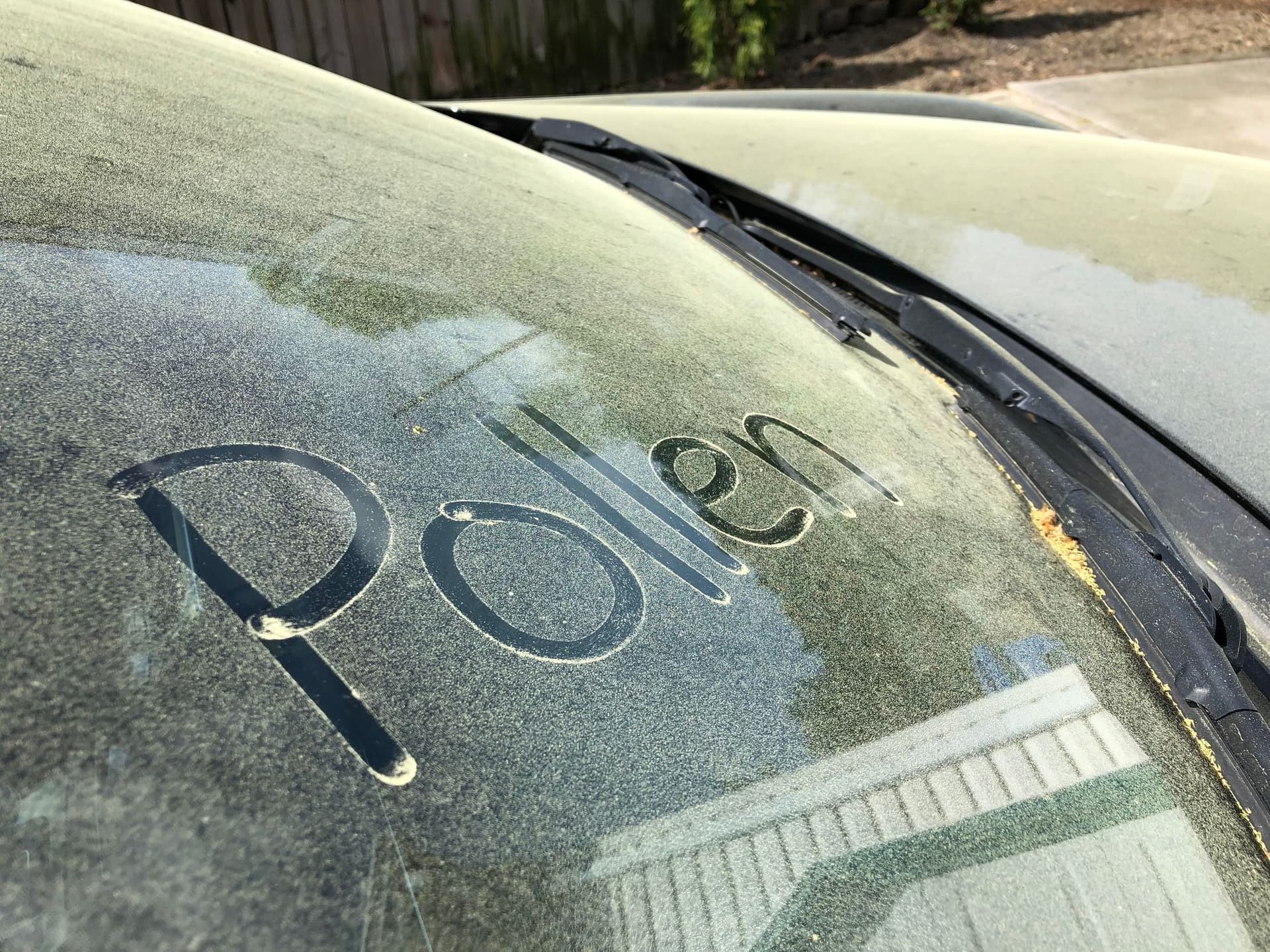 Prepare Your DC Home For Allergy Season