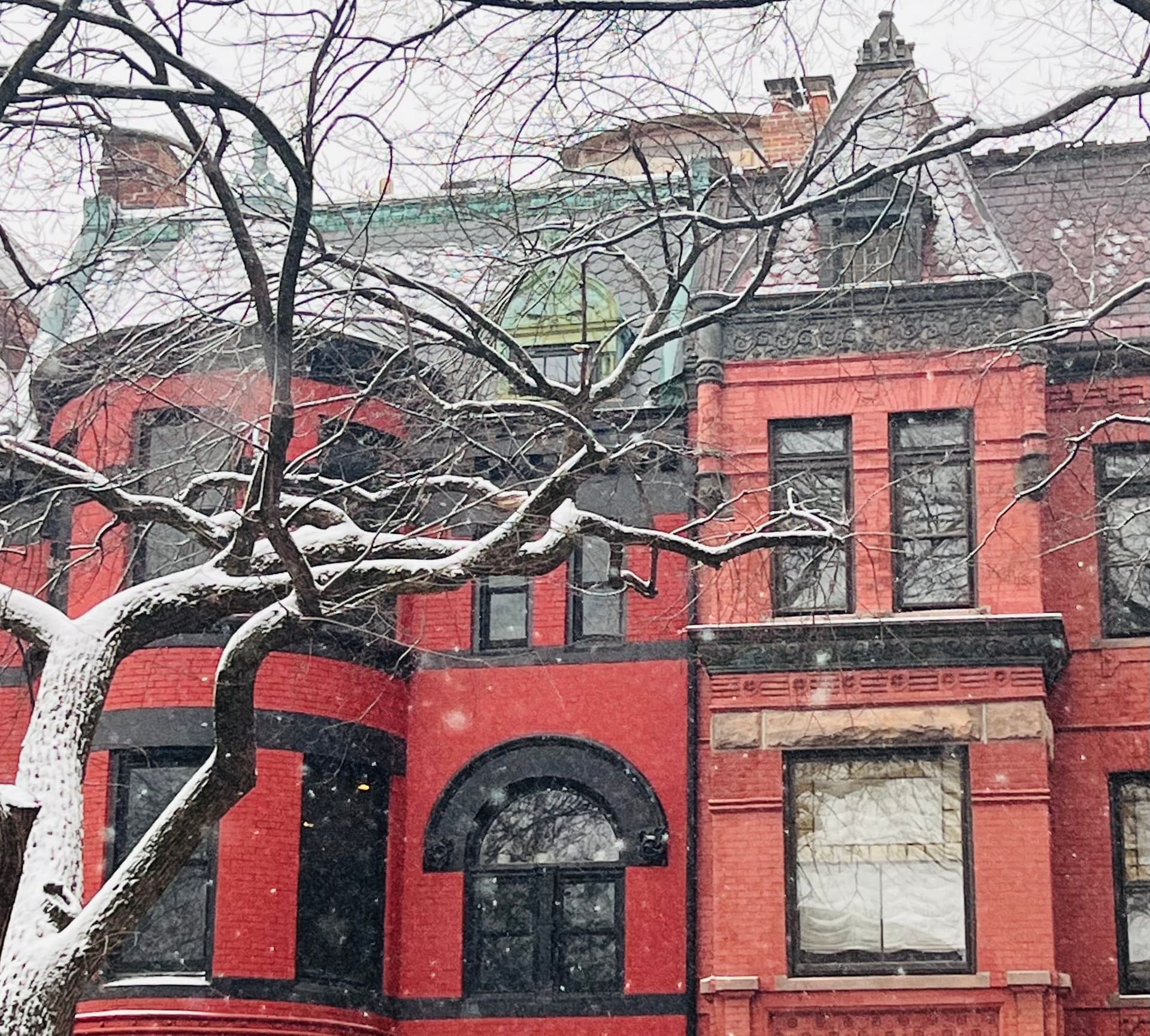 Snow on rowhouses