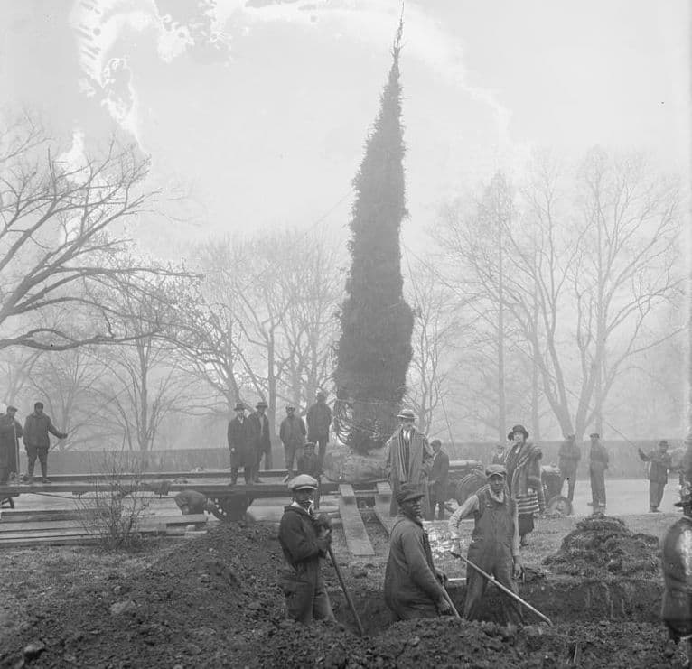 Planting the National Community Christmas Tree (December 17, 1924)