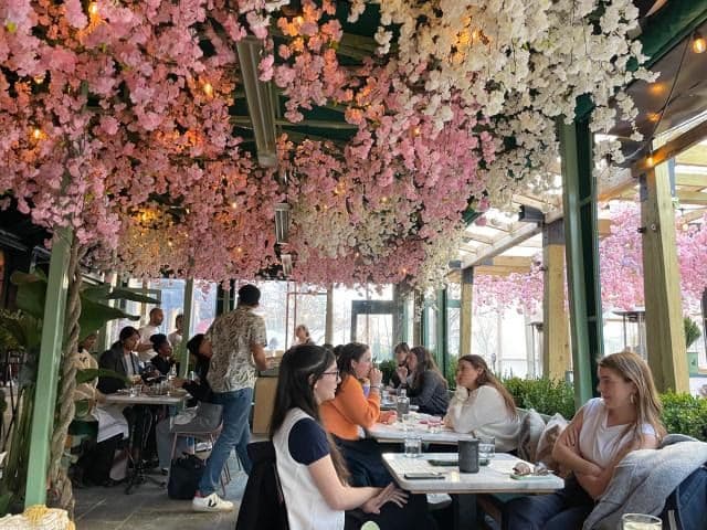 Dining under the cherry blossoms at Residents Cafe.