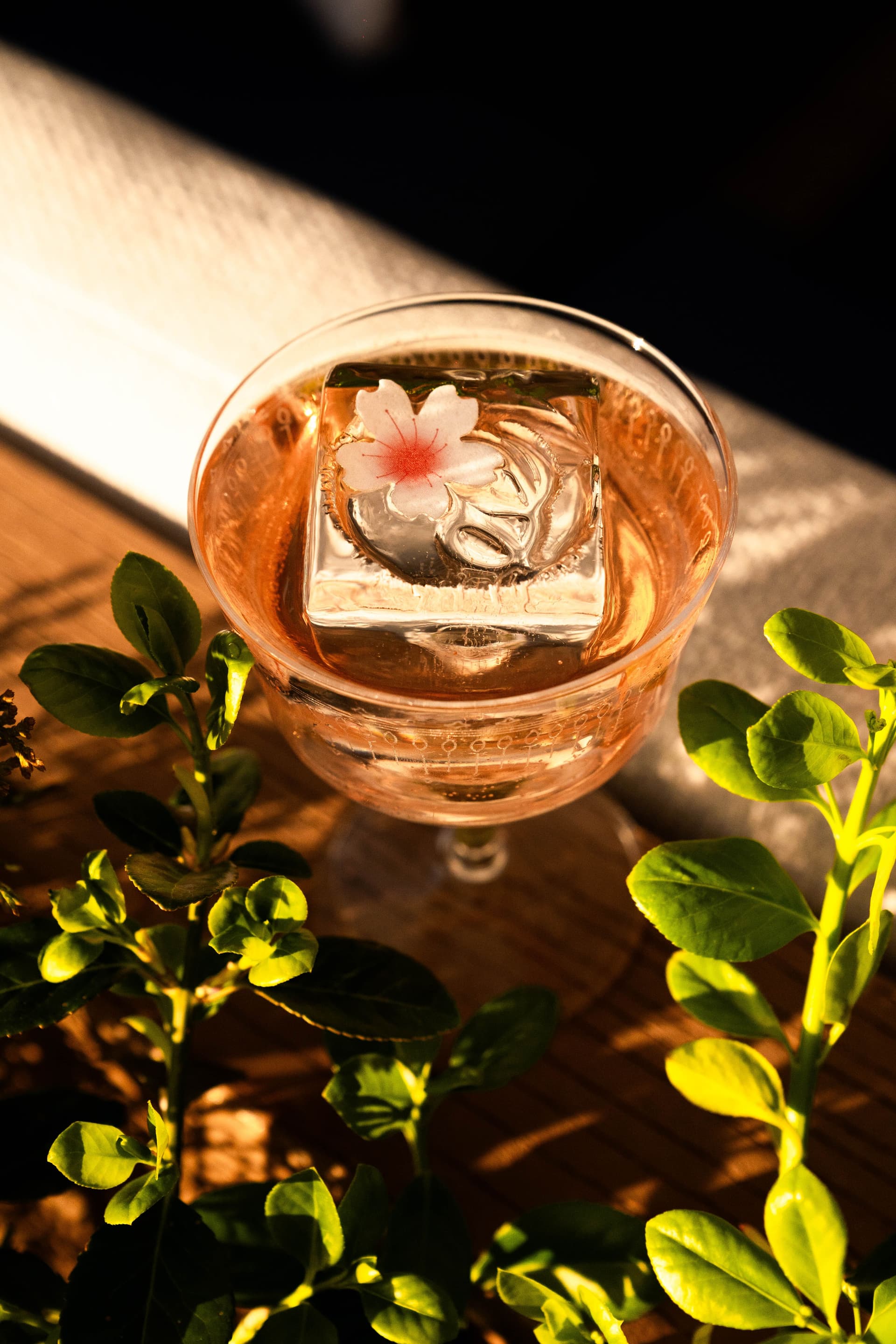 The Best Cherry Blossom Cocktails in the DMV