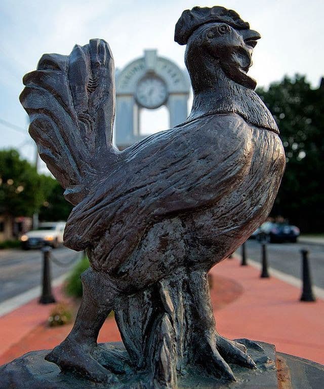 The famous rooster.