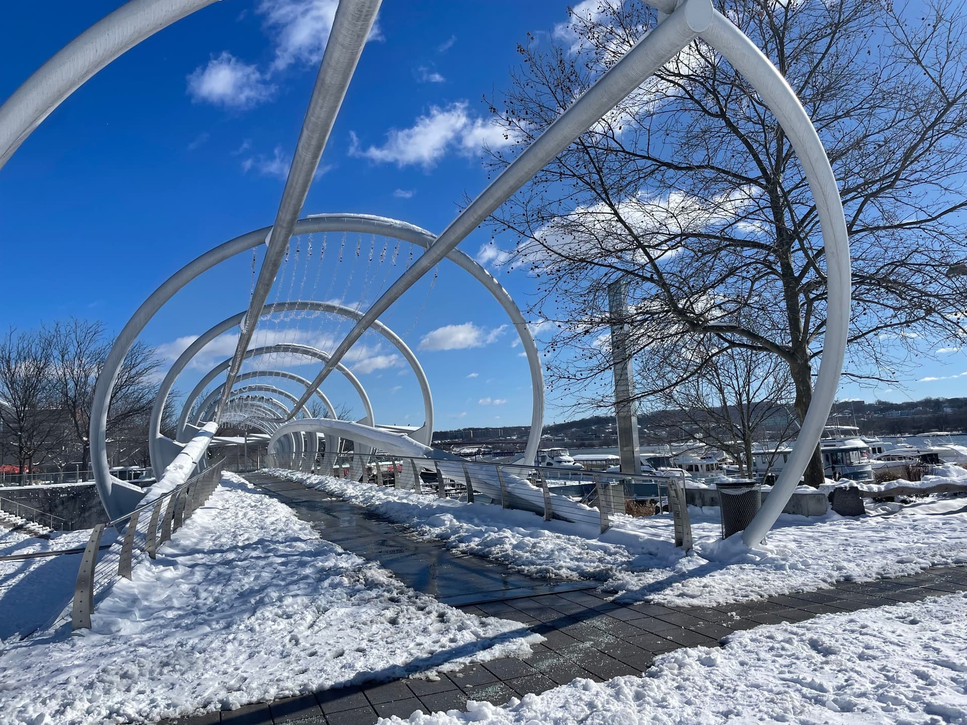 The Best Things To Do and Eat In Navy Yard