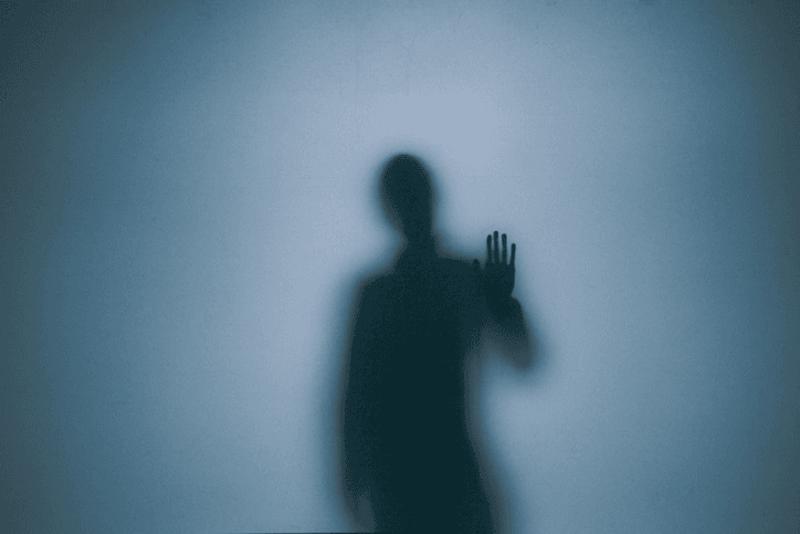 What is a Shadow Representative?