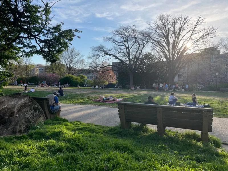Malcolm X/Meridian Hill Park in spring.