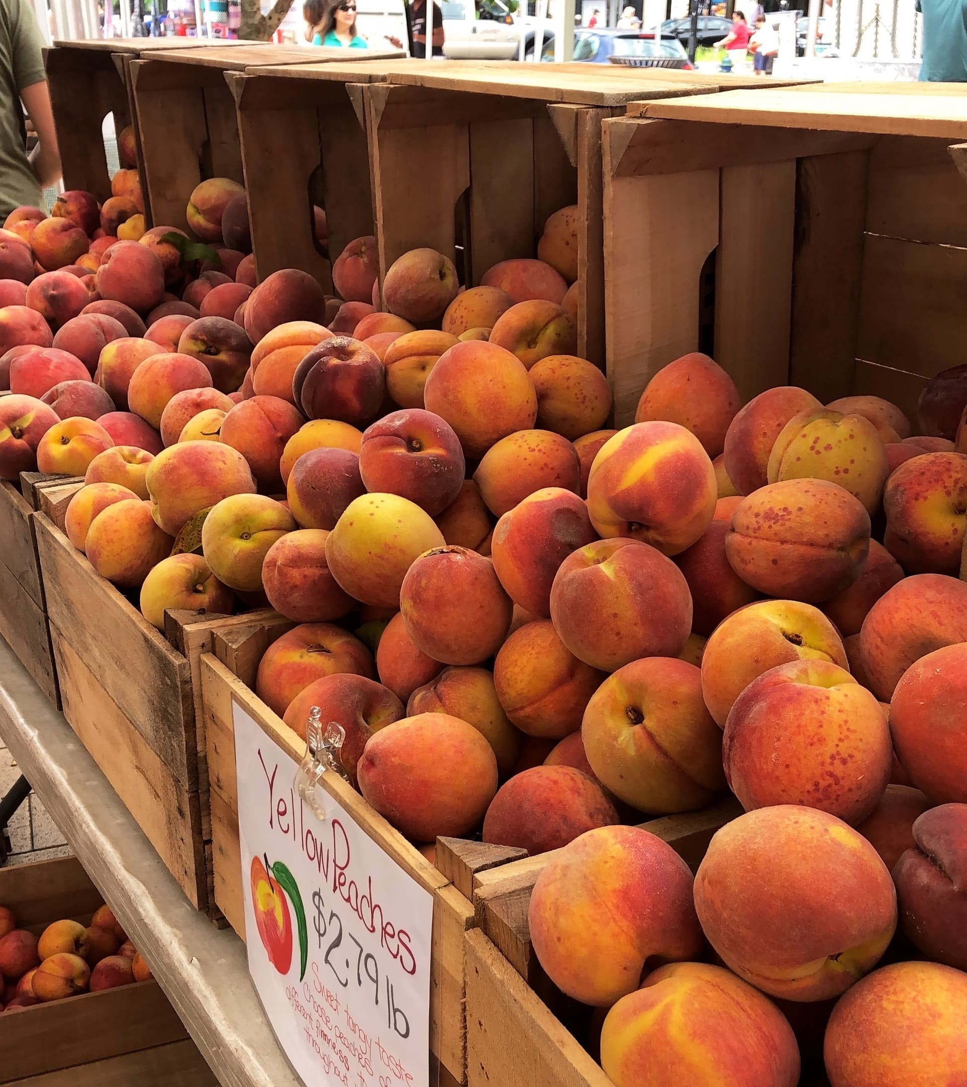 The Best Peach Picking Spots in DC