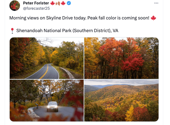 Fall foliage pictures