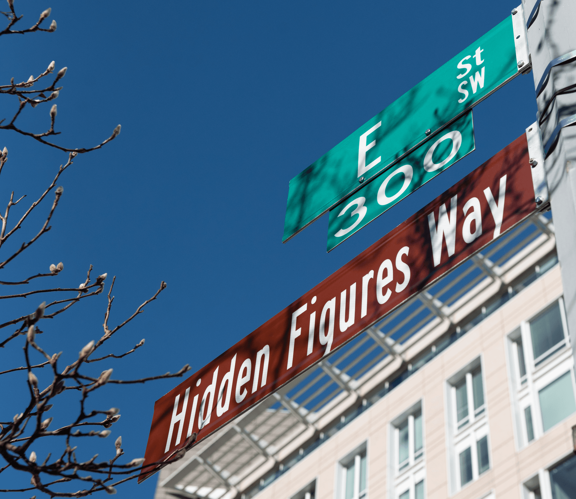 3 Questions With A Tour Of Her Own on Women's Representation in D.C.