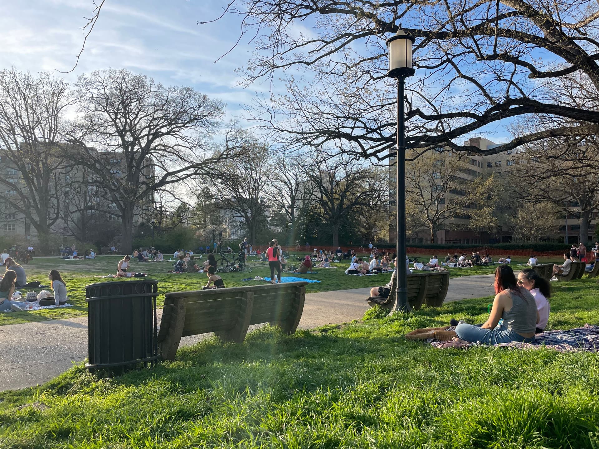 The Best DC Foods for a Picnic