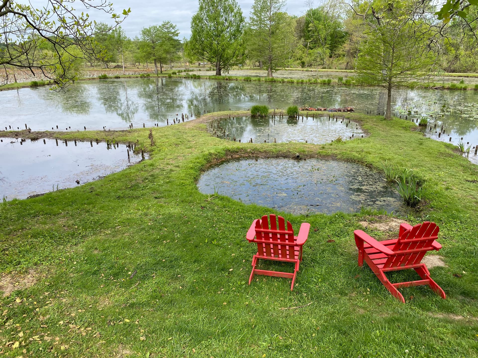 DC Ranks #1 In The Nation For Parks, Again (And Again, And Again)