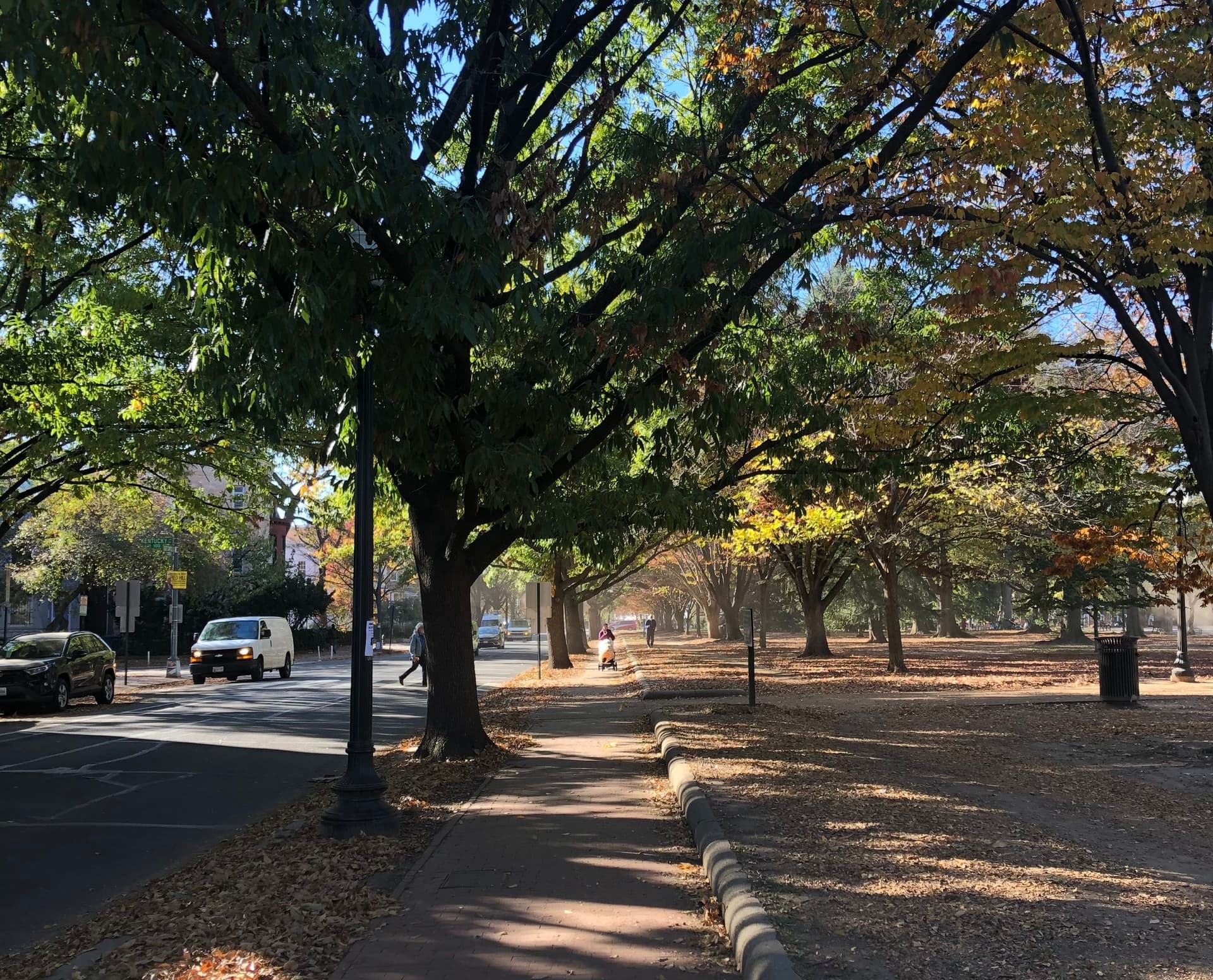 The Best of DC's Lincoln Park Neighborhood