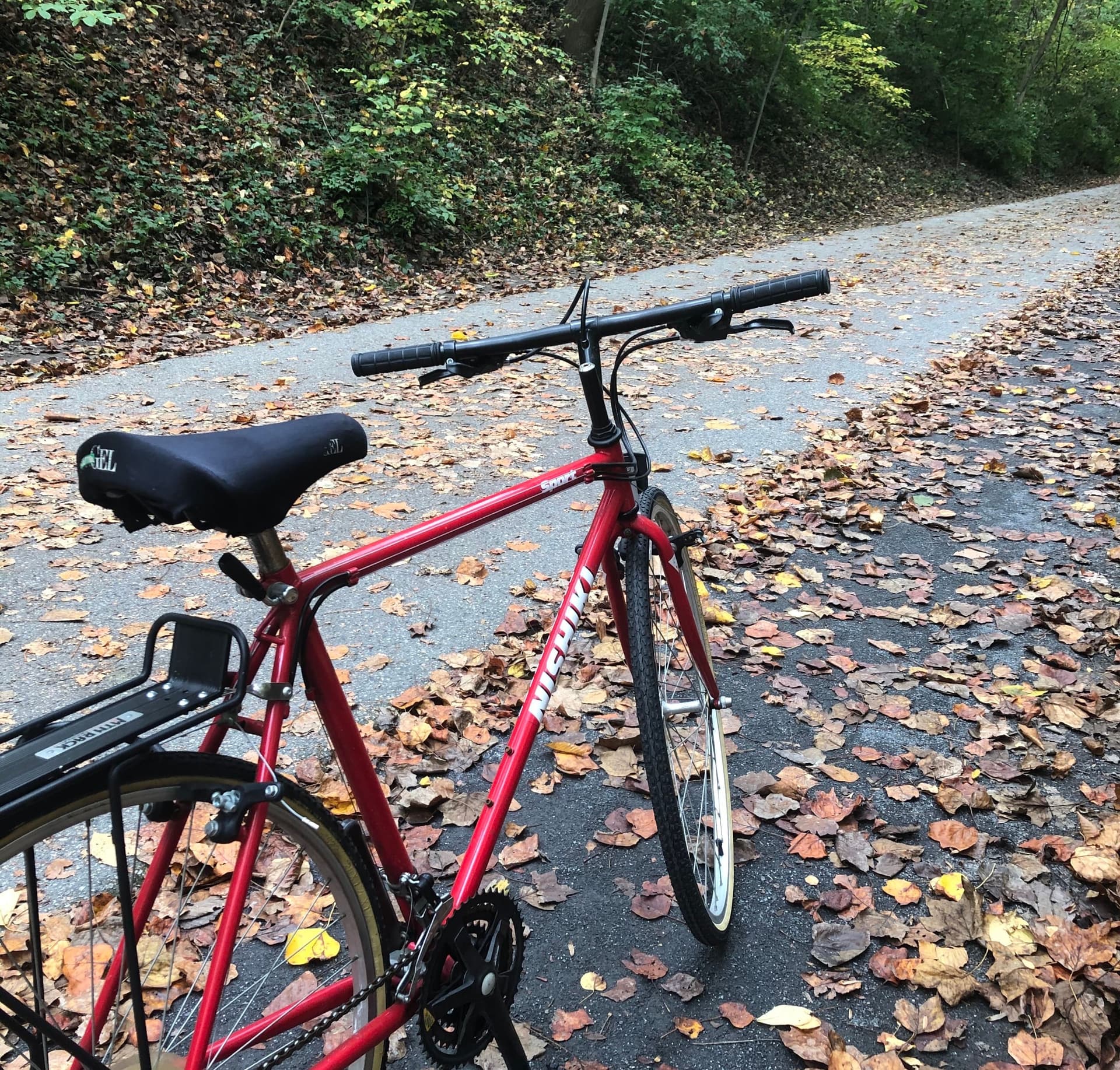 The Best Bike Lanes in the DMV