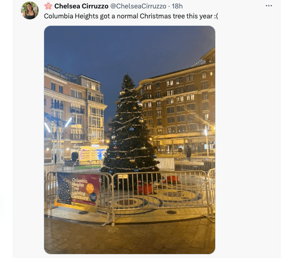 This year's excessively normal looking Christmas Tree in Columbia Heights.