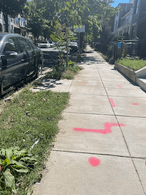 What’s the Deal With Yard Ordinances?
