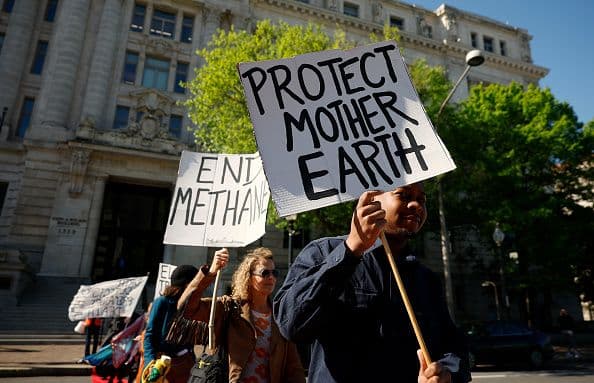 Earth Day Activities for Every Type of Washingtonian