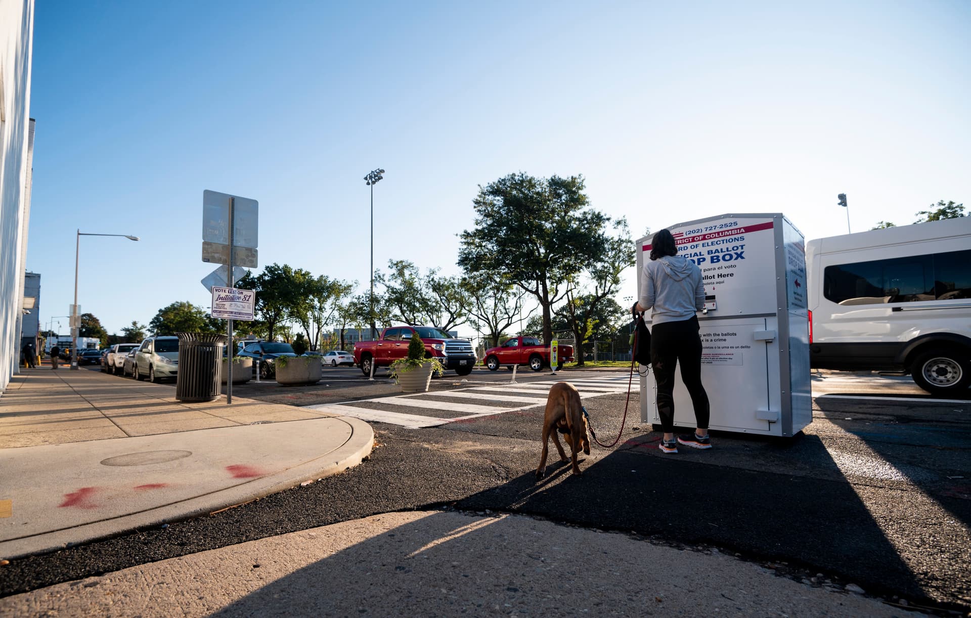 Your Guide To DC’s 2024 General Election