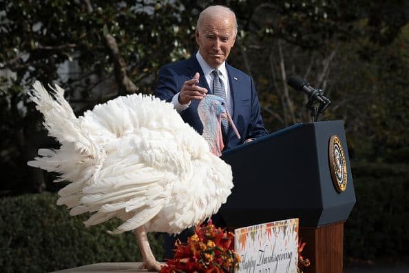 Liberty the turkey