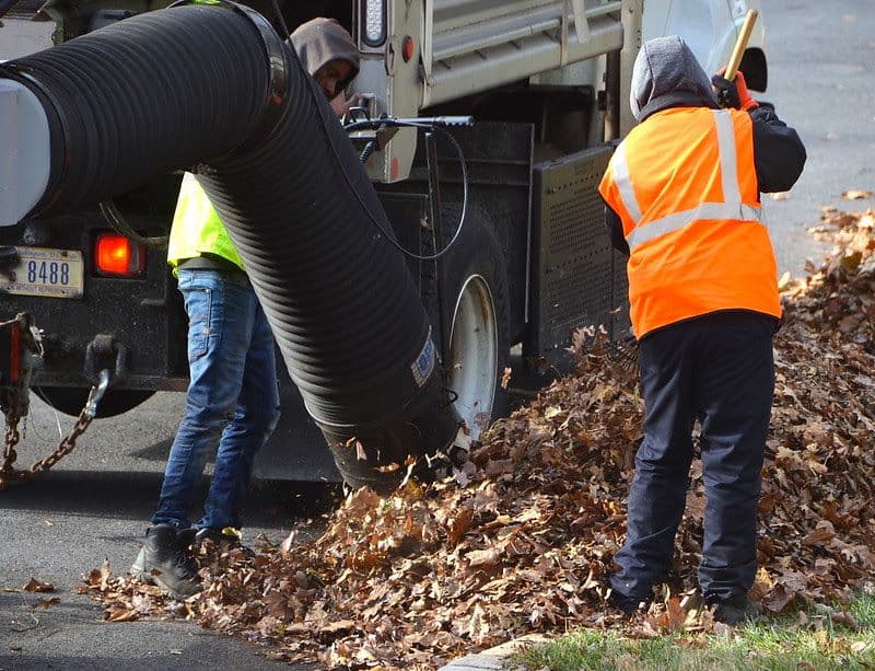 DC's Improved Leaf Collection Protocol