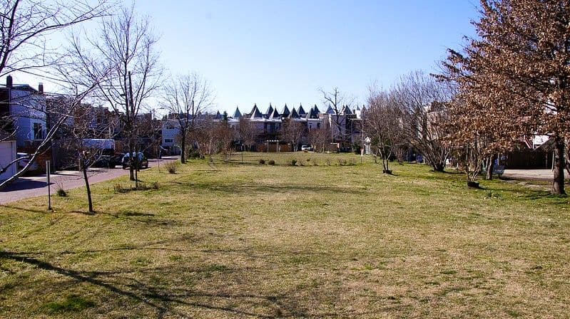 Get To Know: Bloomingdale