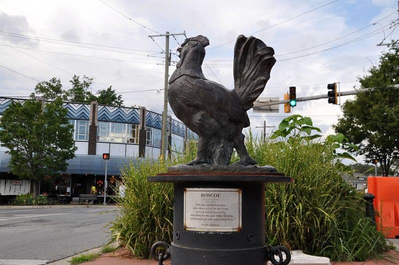 How To Spend a Day In Takoma Park