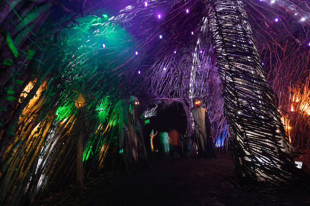 3 Questions With Markoff’s Haunted Forest on why its so Spooky