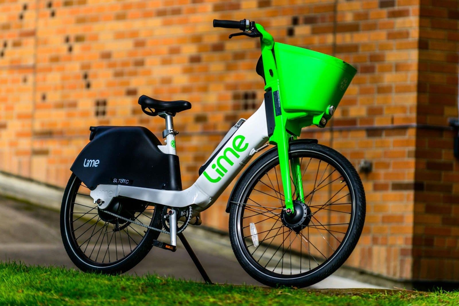 A Lime bike in the wild.