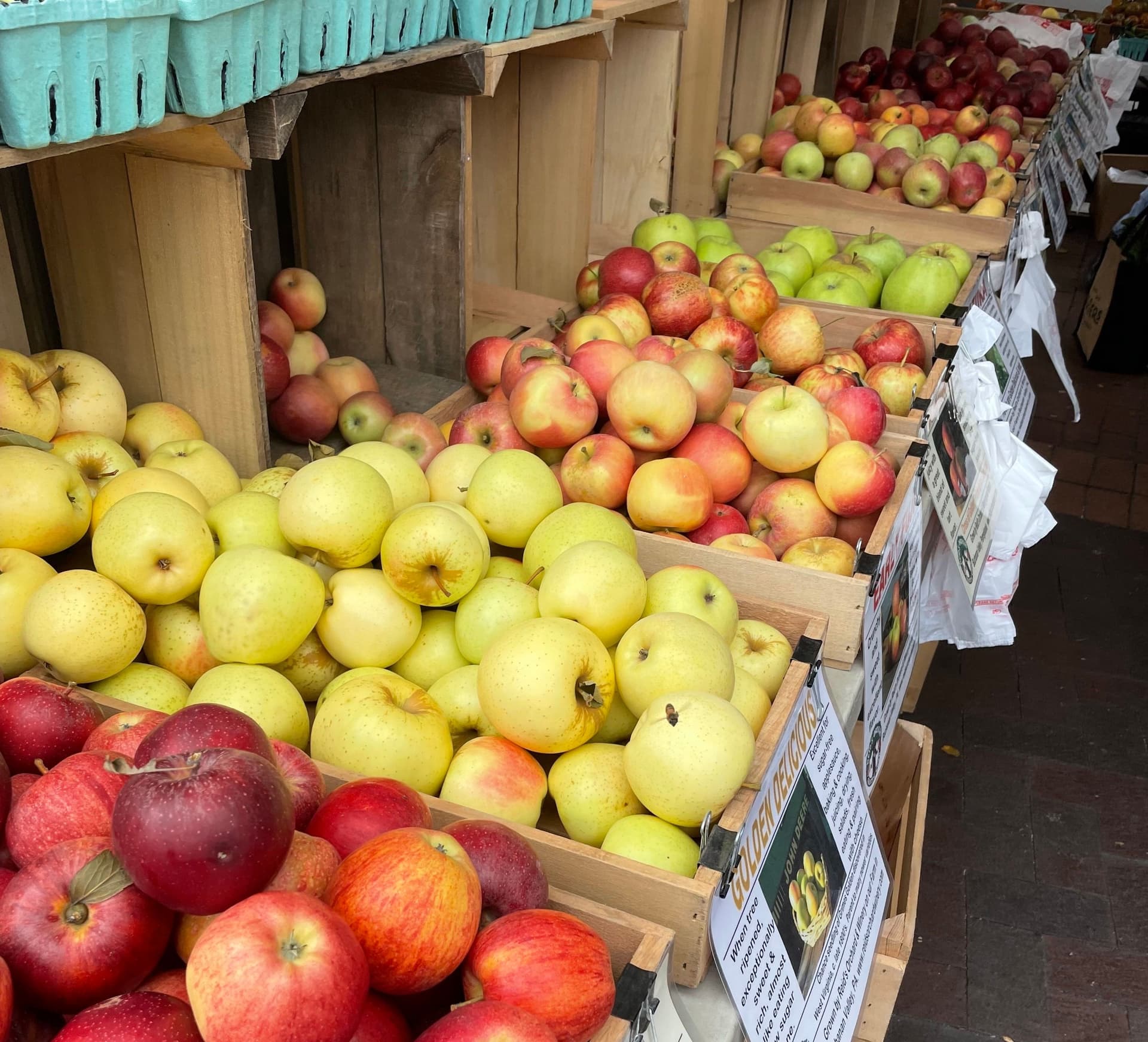 Maryland Invents Apple Varieties For the Future