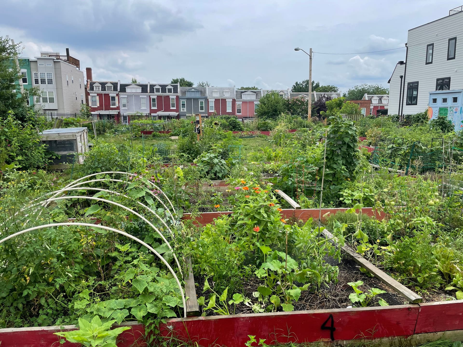 How To Start an Urban Garden In DC