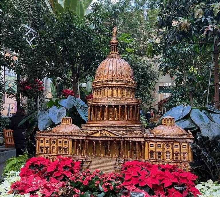 How To Embrace DC’s Winter Season