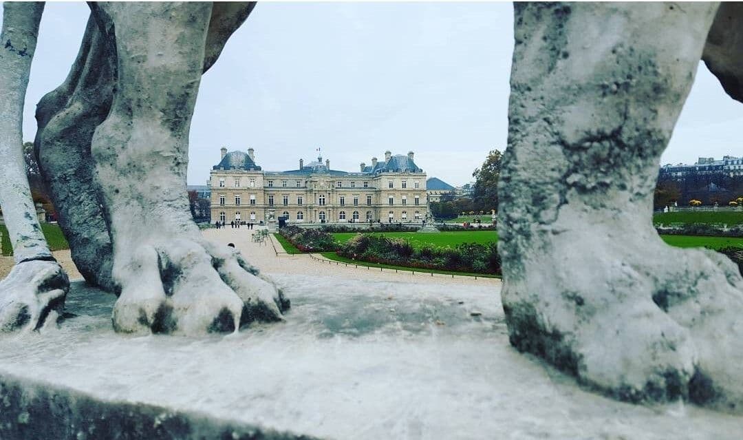 What It's Like To Travel With DC's Alliance Française