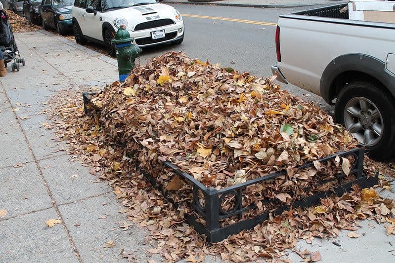 This is what a tree box looks like, in case you were wondering.