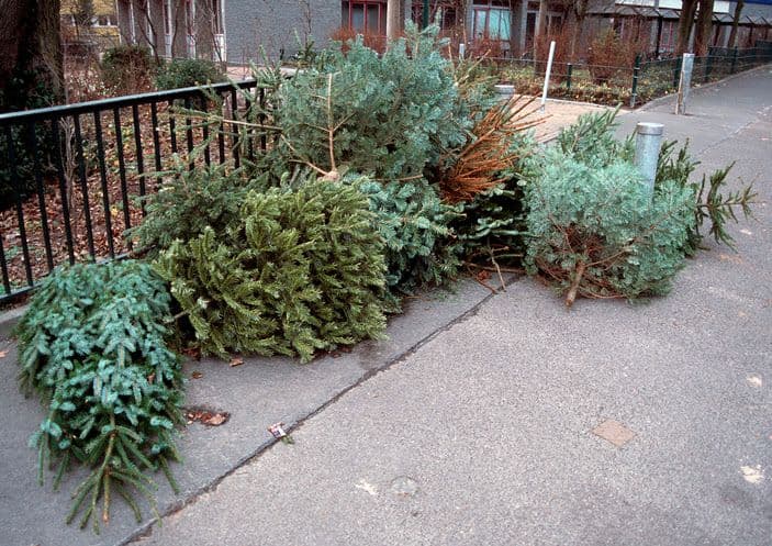 How To Get Rid of Your Old Christmas Tree