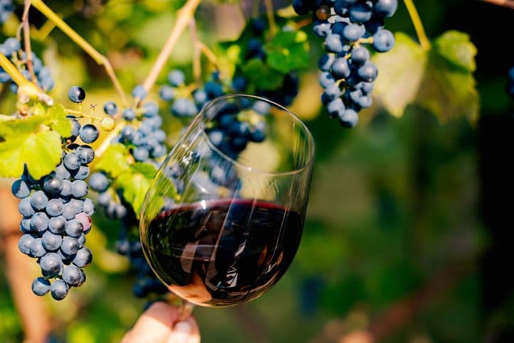 Wine and grapes