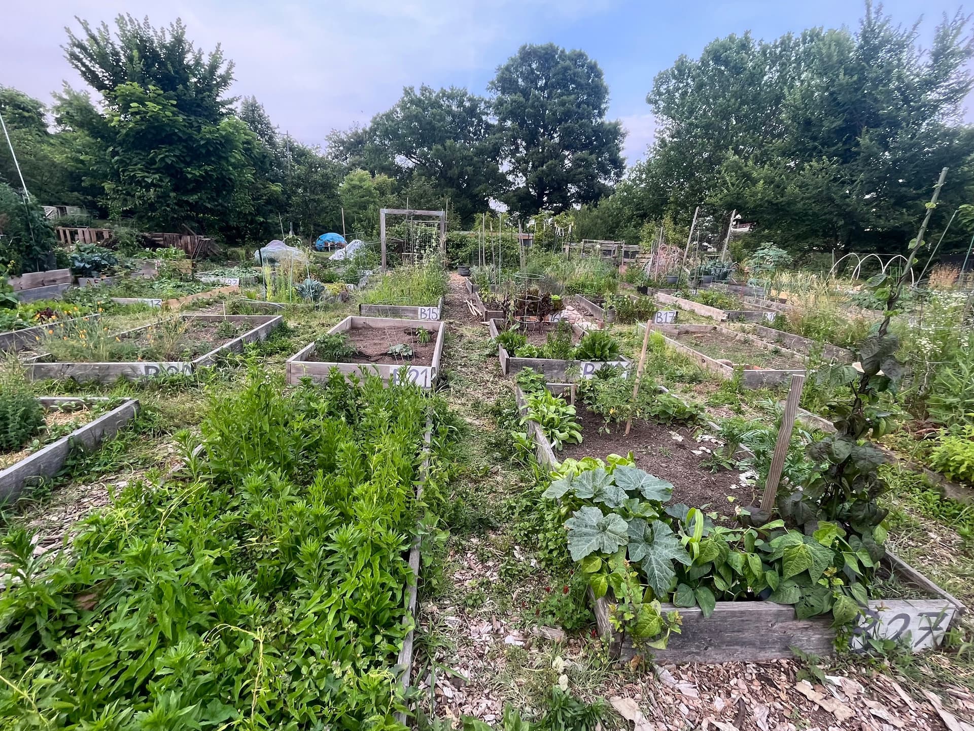 Get To Know DC’s Pocket Parks
