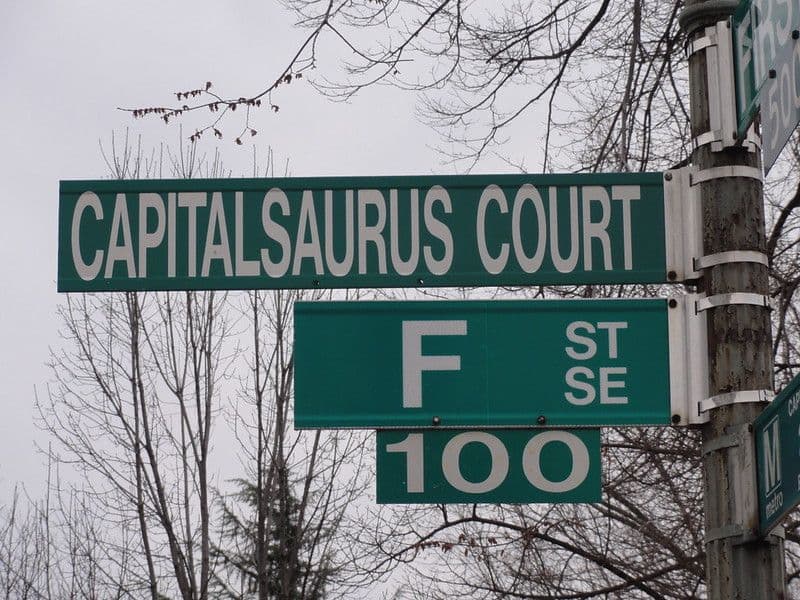 Capitalsaurus Court street sign.