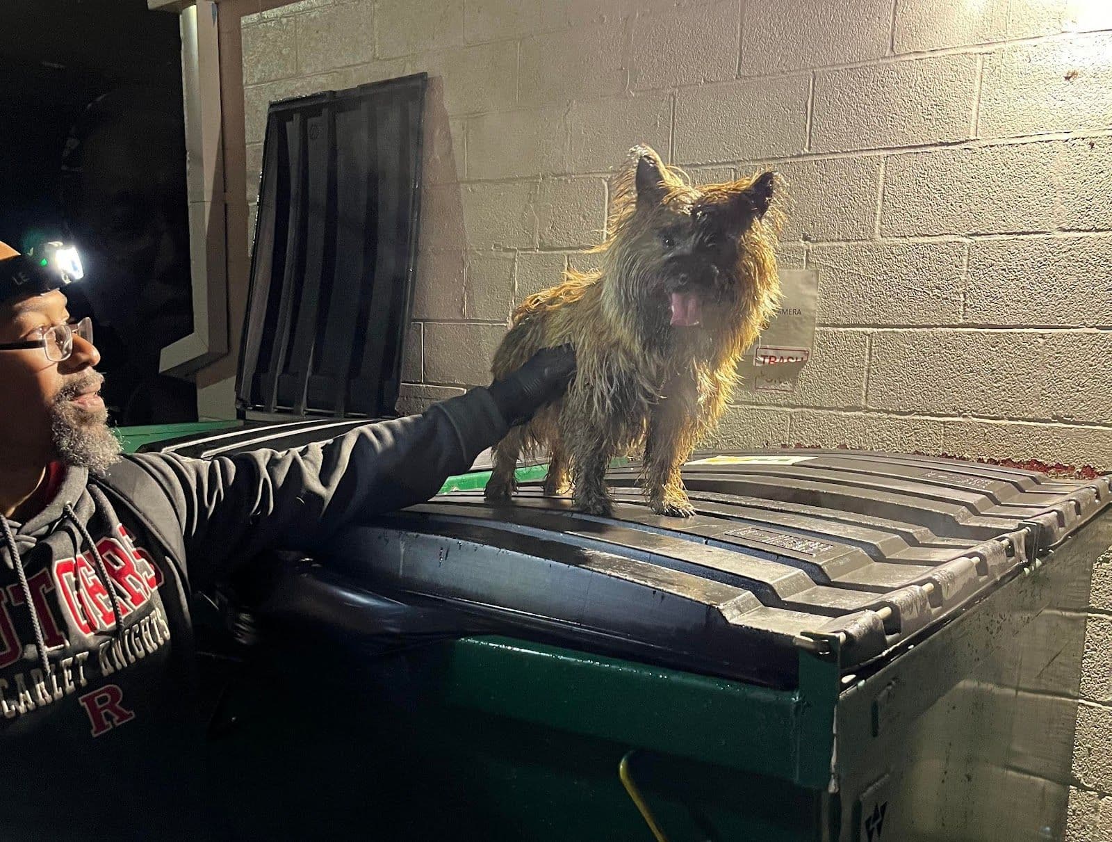 Meet DC's Rat-Hunting Dog Society