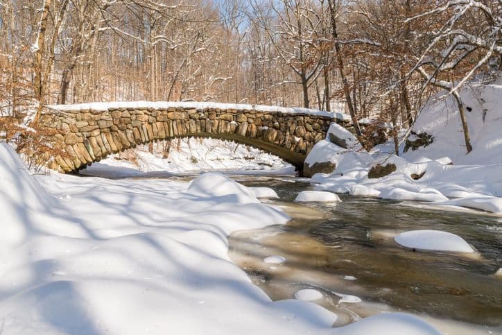 Dreaming of a January day like this one.