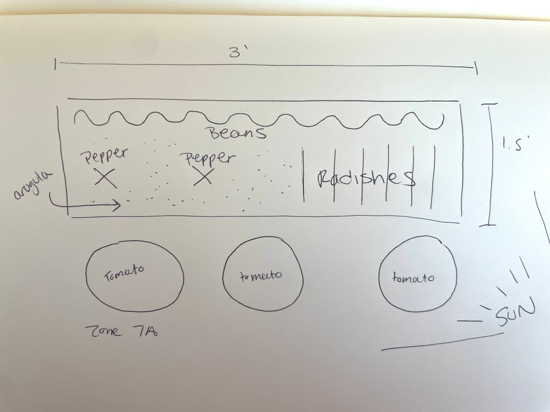 My garden plan for this season.