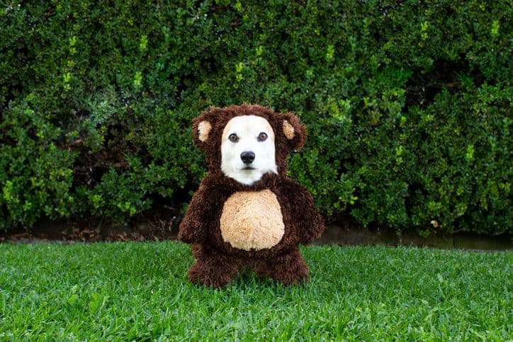 8 DC-Inspired Halloween Costumes