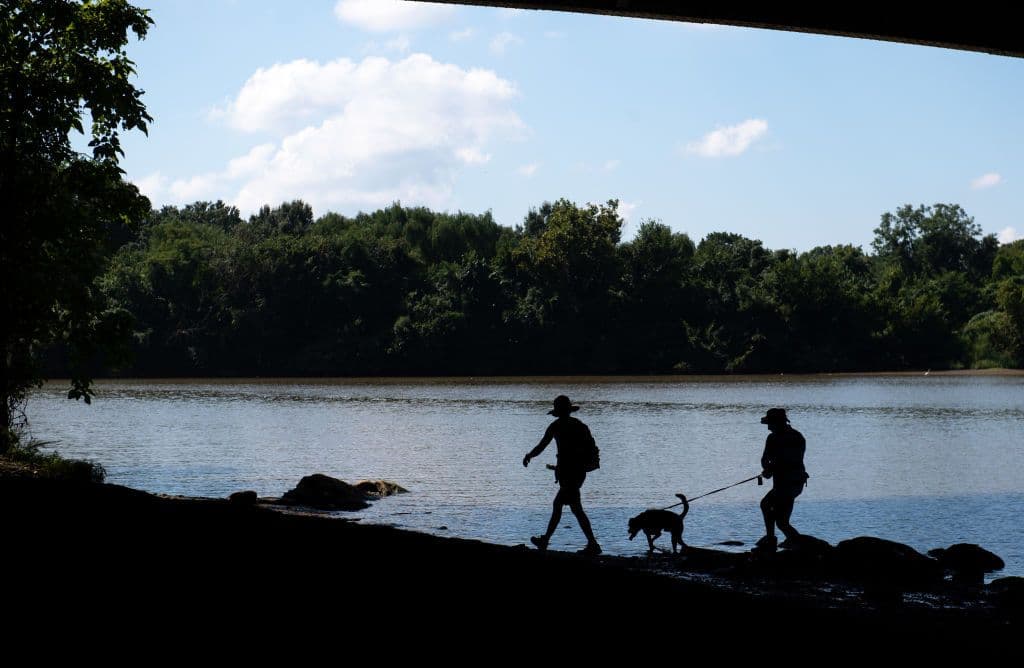 The Best Spring Hikes Around DC