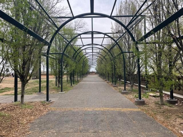 Arches at Malcolm X Park.