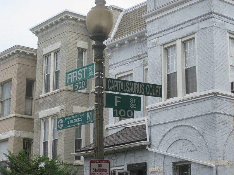 Capitalsaurus Court road.