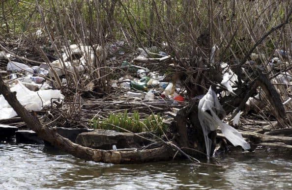 the shore of the Anacostia River one of the most polluted rivers in America.