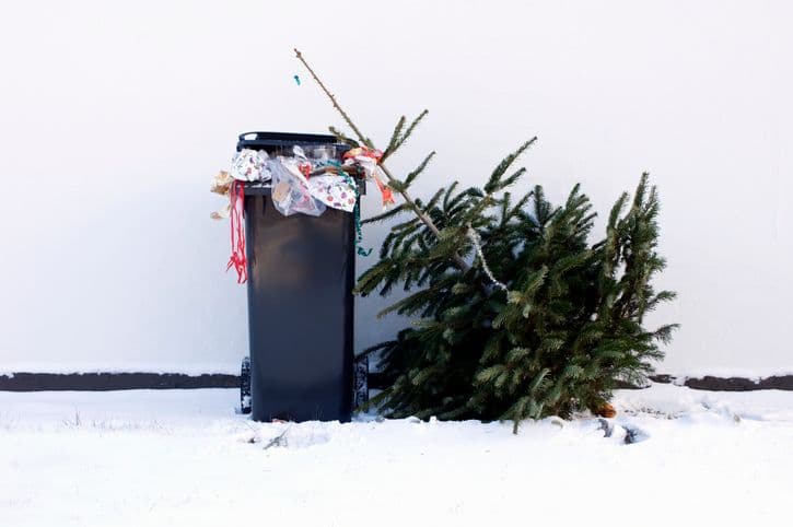 How to Responsibly Dispose of Holiday Waste in DC