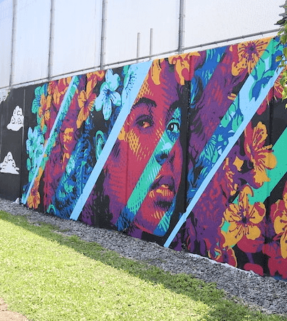 Where to find D.C.'s Numerous Murals