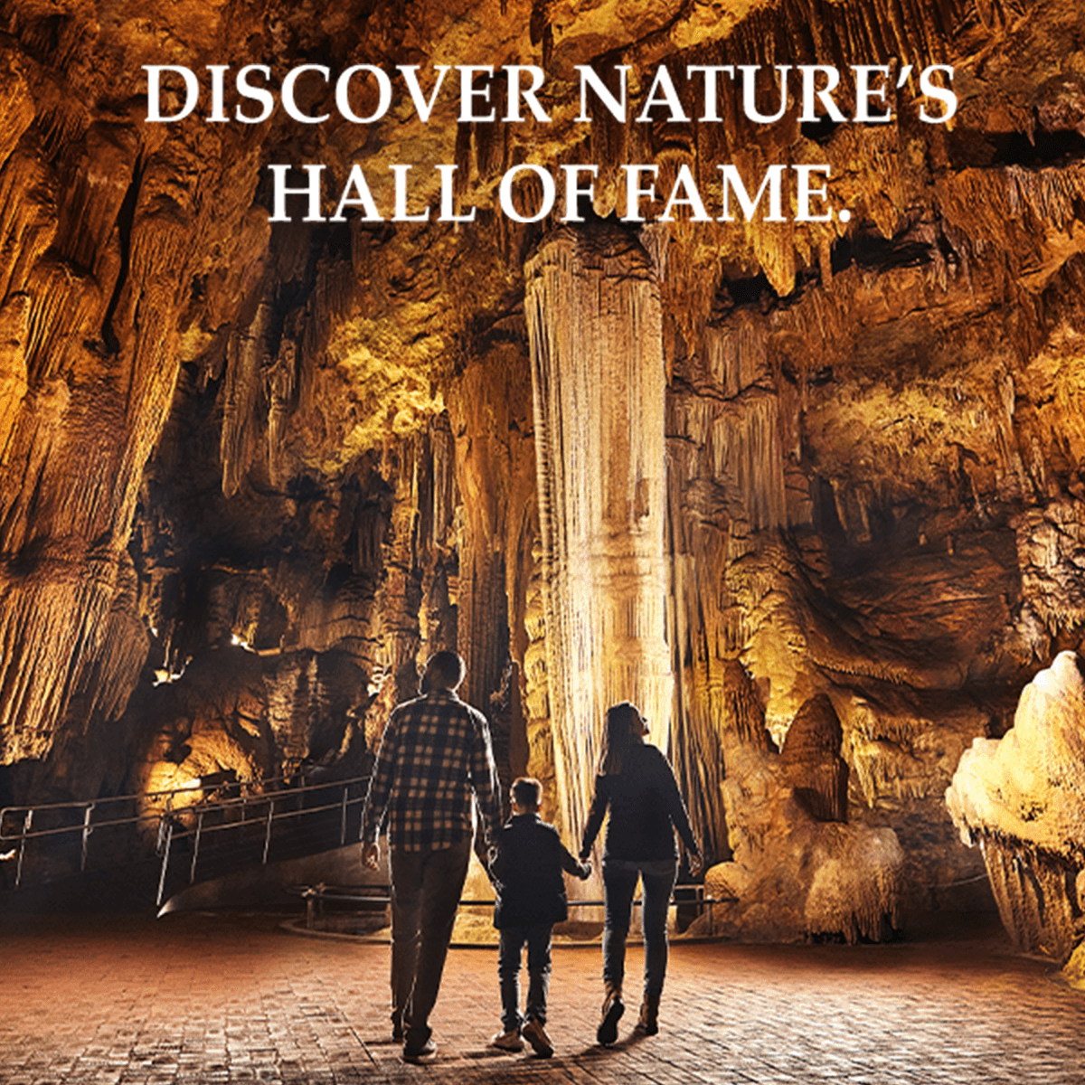 Discover unforgettable family fun.