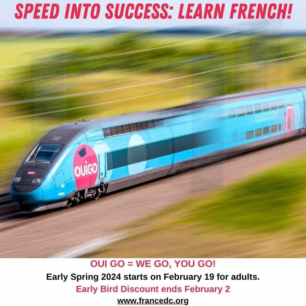Our immersive classes propel you toward fluency.